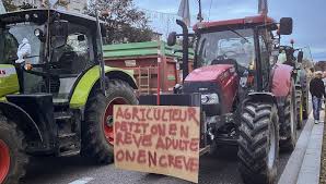 Revenus, environnement, normes : pourquoi les agriculteurs se mobilisent en France - France Bleu