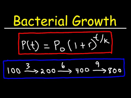 Solve Bacteria Growth Math Problems