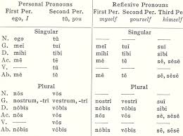 Personal Pronouns Latin For Rabbits