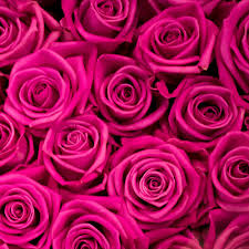 I hope that you can enjoy them and i make more! Hot Pink Roses Rosemantic