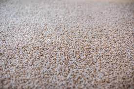 nylon vs polyester carpet which is