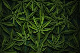 weed wallpaper images free