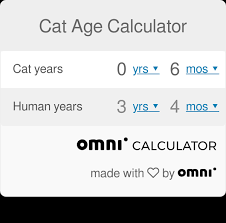 Cat Age Calculator Omni