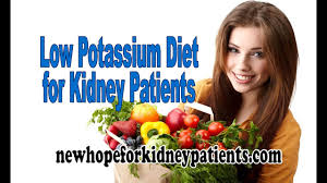 11 Veracious Kidney Patient Diet Chart In English