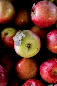 Apple Varieties Lepp Farm Market
