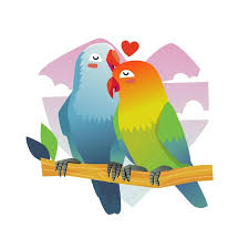 love birds images free on
