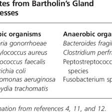 If it turns out to be a bartholin's cyst and it doesn't bother you, it's often better to leave it alone. Pdf Management Of Bartholin S Duct Cyst And Gland Abscess