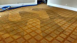 expert carpet cleaning in terre haute