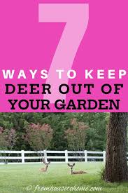 13 Ways To Keep Deer Out Of Your Garden
