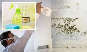 How To Remove Black Mould Using Vinegar