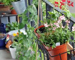 Diy How To Plant A Personal Garden In