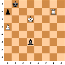 If you block the check with your rook, and if black captures your rook, then your king will capture their rook. Chess Endgame Simulations Interactive Chess Endgame Training