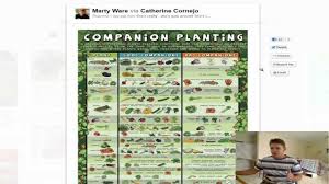 companion planting list guide you