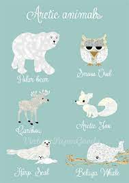 Animals of the arctic is a picture book and song that teaches kids about the polar animals, polar bear, arctic wolf, arctic fox. Pin Von Melinda Mendez Auf Decorate With Art Arktische Tiere Antarktis Illustration Tiere