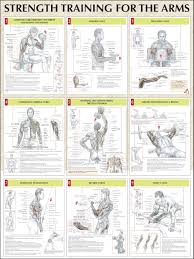 Strength Training For The Arms Bodybuilding Gym