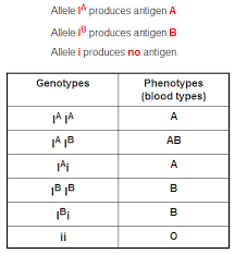 Genes And Blood Type In Abo Blood Group Inheritance What
