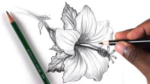 how to draw a flower step by step in