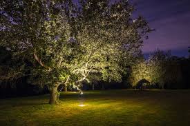 Landscape Lighting Outdoor Landscaping