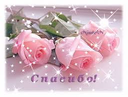 ÐаÑÑинки по запÑоÑÑ ÐºÐ°ÑÑинки ÑпаÑибо болÑÑое