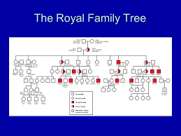 Pedigree Charts The Family Tree Of Genetics What Is A