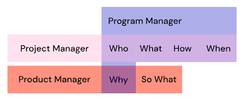 vs project vs program manager