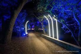 Descanso Gardens Enchanted Forest Of