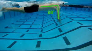 how to swim freestyle 14 steps with