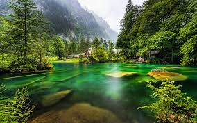swiss nature summer forest lake