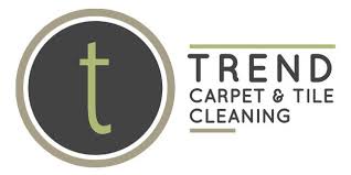 carpet cleaners in schaumburg il