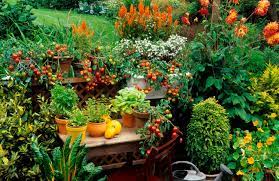 Garden Patio Ideas Kellogg Garden