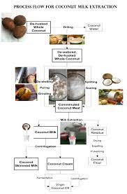 Coconut Milk Making Process gambar png