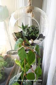 Plant Terrarium Diy Le Café De Maman