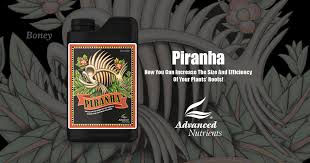 Piranha Erith Horticulture