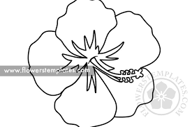 600x600 hibiscus coloring pages hibiscus flower in bloom coloring page. Hibiscus Coloring Page Flowers Templates