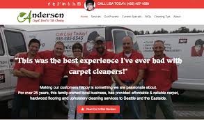 steam carpet cleaning service in