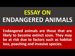 essay writing on endangered s