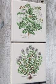 Ceramic Kitchen Tiles W Botanical Herb