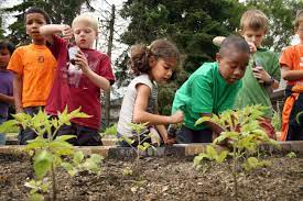 Using Environmental Education to Improve the Lives of Inner City Youth - US  Represented