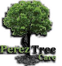 Cat's landscape services is locally owned and operated with over 20 years experience in the landscape industry. Tree Trimming Removal Burnet Georgetown Tx Perez Tree Care
