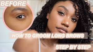 shape your eyebrows tutorial eyebrow