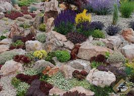 Succulent Rock Garden Garden Grand