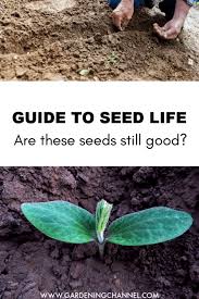 Seed Life Chart How Long Will Seeds Last Gardening Channel
