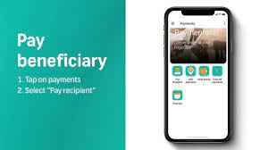 beneficiary using the fnb app
