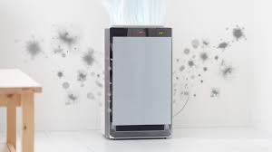 do air purifiers help with mold live