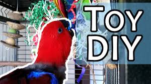 diy parrot toys making enriching toys