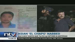 Sam gor is believed to launder its billions in drug money through businesses springing up in. Chinese Born Canadian El Chapo Like Tse Chi Lop Arrested By Dutch Worldwide Entertainment Tv