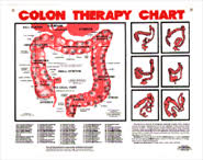 Accessories Clearwater Colon Hydrotherapy Inc Colon