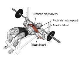 the decline bench press taking your