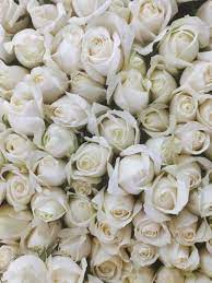 bouquet ng white rose flower size