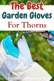 Best Garden Gloves For Thorns